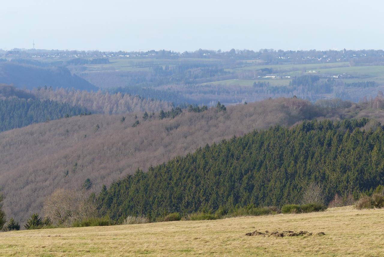 Chalets Am National Park Eifel Schleiden Ngoại thất bức ảnh